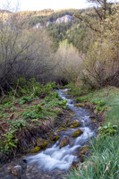 IMG_1191.jpg