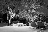 IMG_7007-Edit.jpg