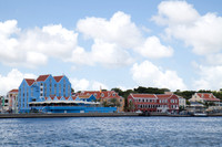IMG_3781.jpg